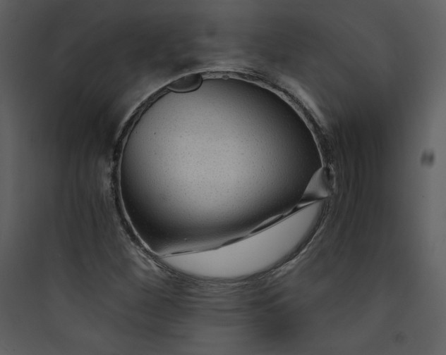 X0000089751260200707121334