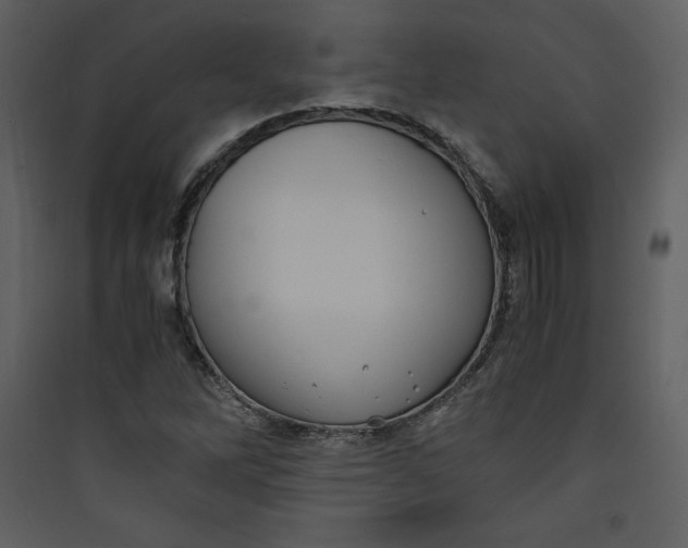 X0000089751262200707121334