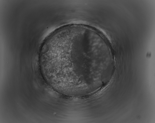 X0000089751263200707121334