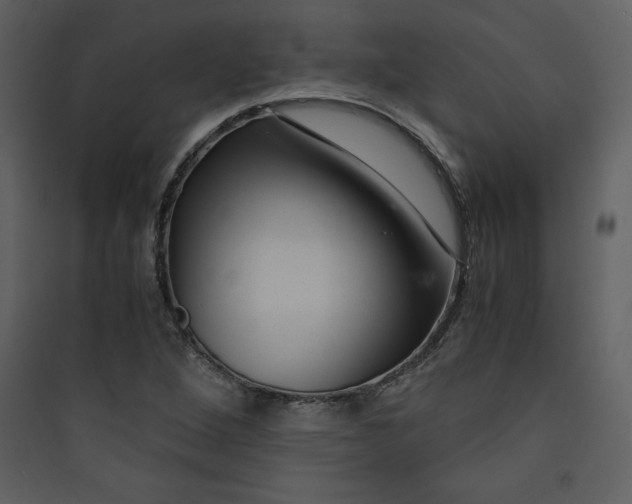 X0000089751264200707121334