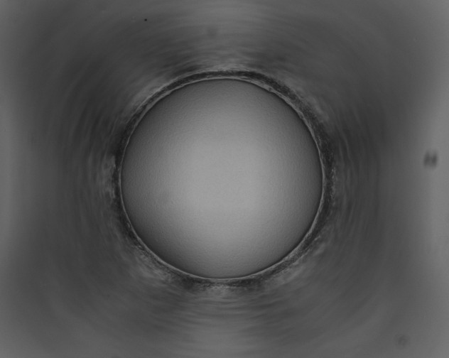 X0000089751265200707121334