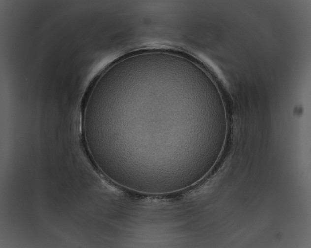 X0000089751269200707121334