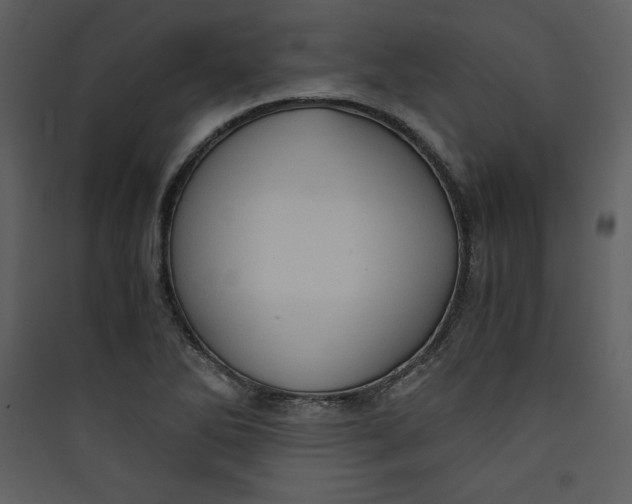 X0000089751270200707121334