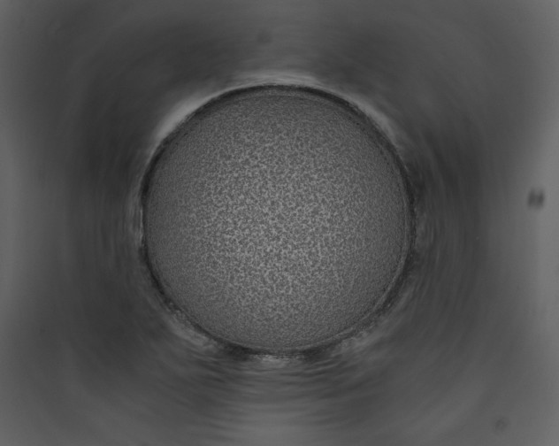 X0000089751271200707121334