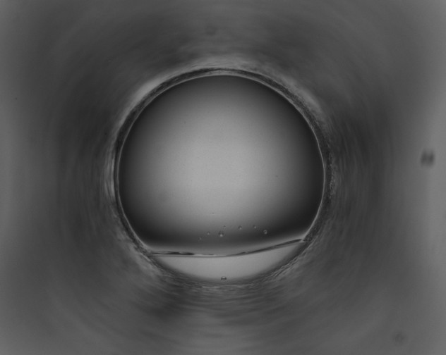 X0000089751272200707121334