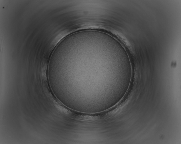 X0000089751273200707121334