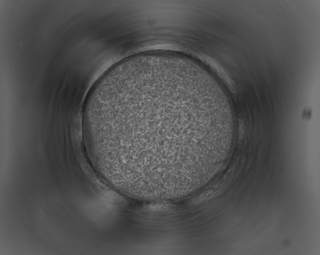 X0000089751274200707121334