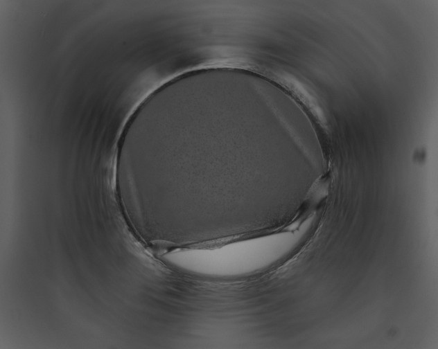 X0000089751276200707121334