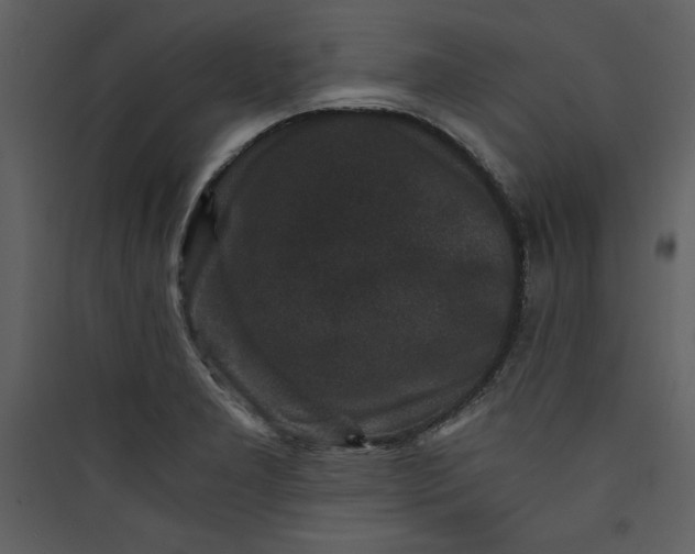 X0000089751277200707121334