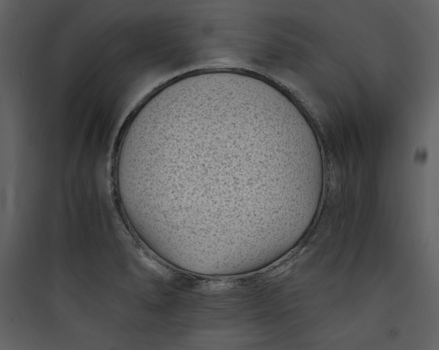 X0000089751278200707121334