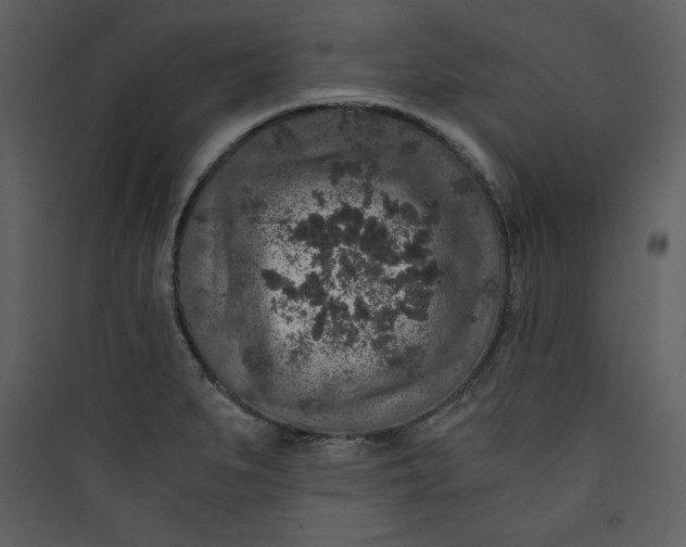 X0000089751279200707121334