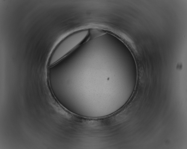 X0000089751280200707121334