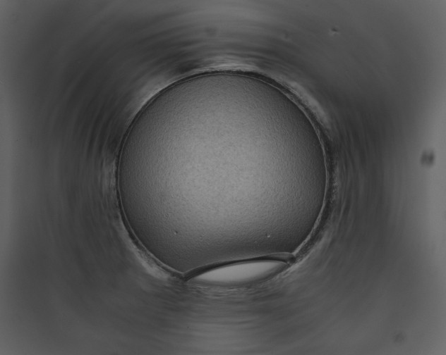 X0000089751281200707121334