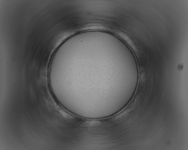 X0000089751282200707121334