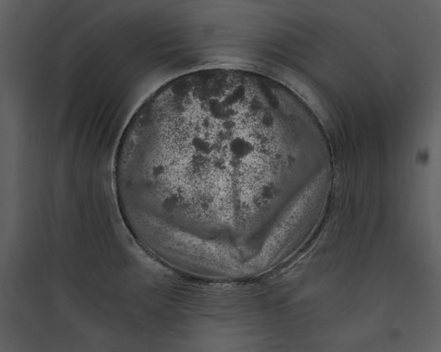 X0000089751283200707121334