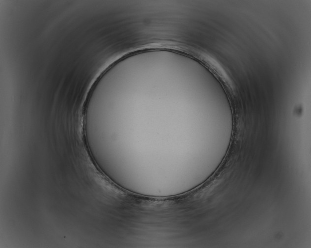 X0000089751284200707121334