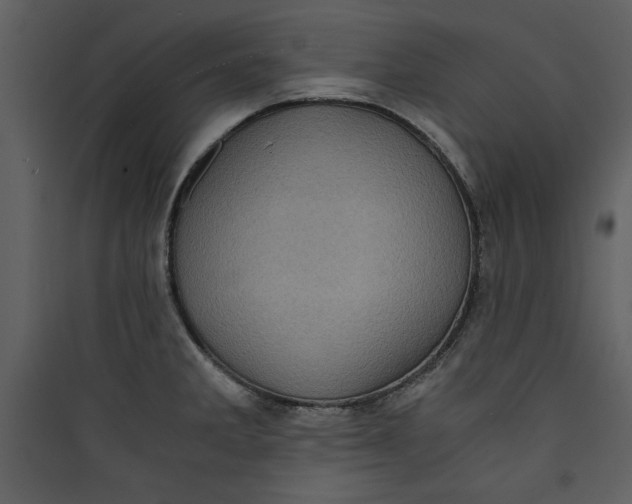 X0000089751285200707121334