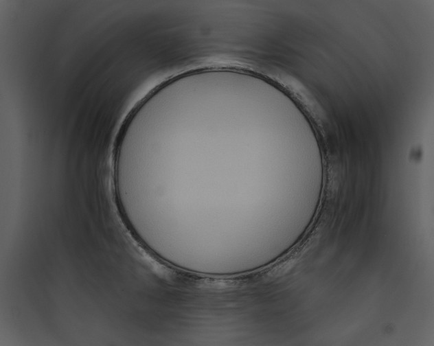 X0000089751286200707121334