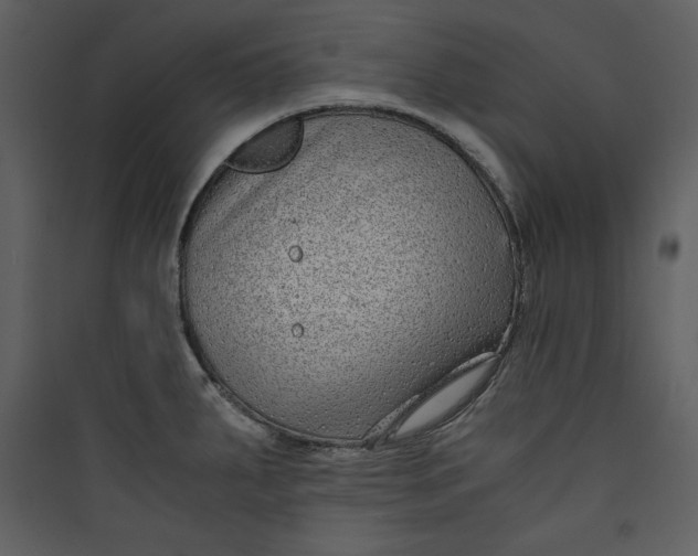 X0000089751287200707121334