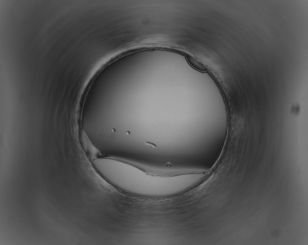 X0000089751288200707121334