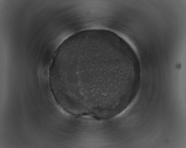 X0000089751289200707121334