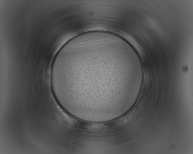 X0000089751290200707121333