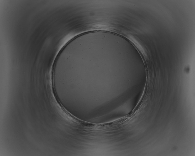 X0000089751291200707121333