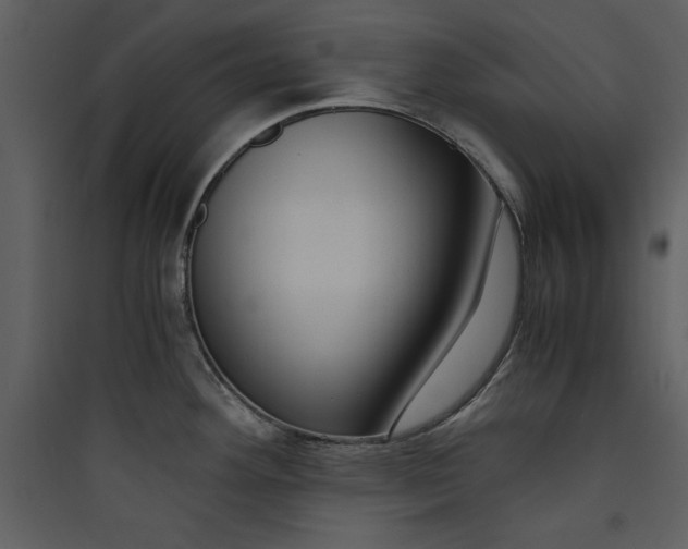 X0000089751292200707121333