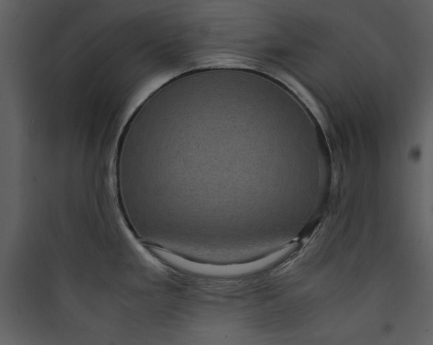 X0000089751293200707121333