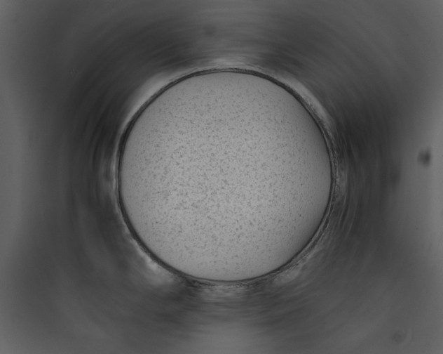 X0000089751294200707121333