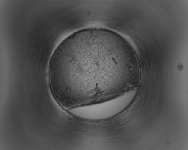 X0000089751295200707121333