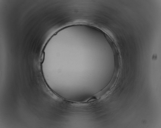 X0000089751296200707121333