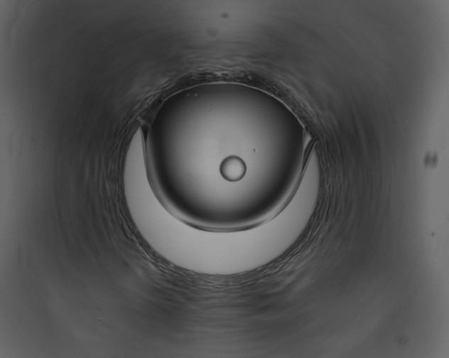 X0000089751298200707121333