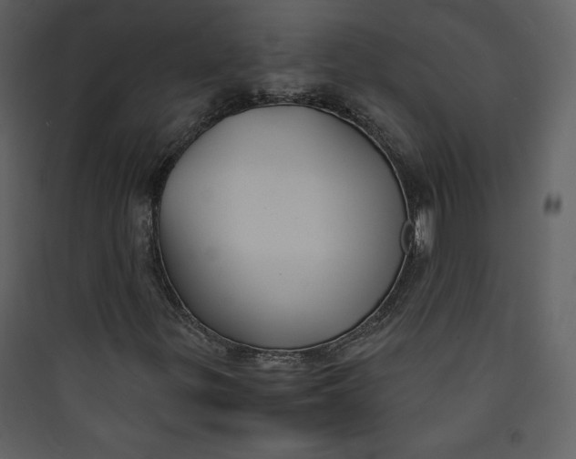 X0000089751299200707121333