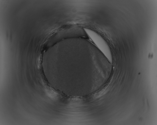 X0000089751300200707121333