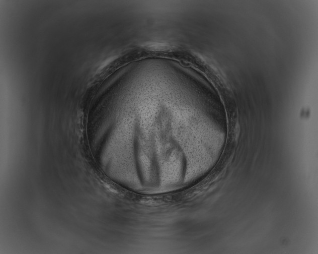 X0000089751301200707121333