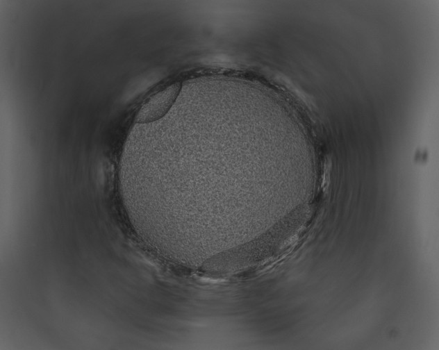 X0000089751302200707121333