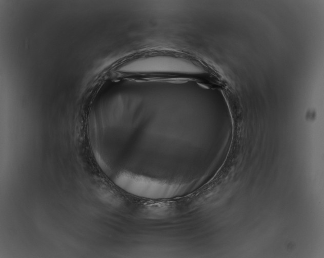 X0000089751303200707121333