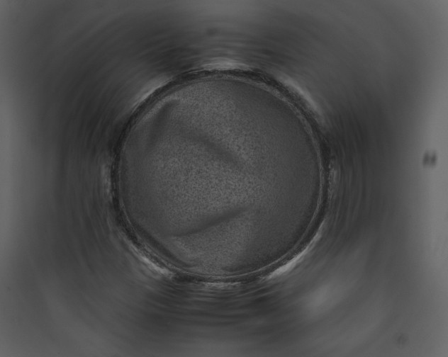 X0000089751305200707121333