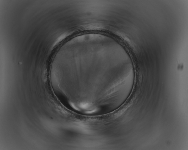 X0000089751306200707121333