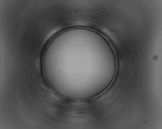 X0000089751307200707121333