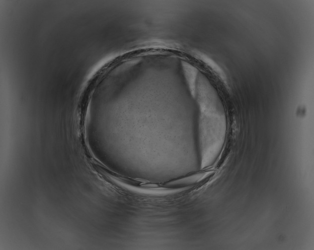 X0000089751310200707121333