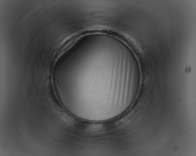 X0000089751313200707121333