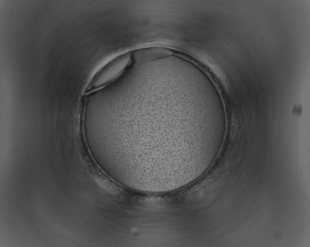 X0000089751316200707121333