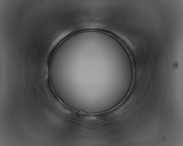 X0000089751317200707121333