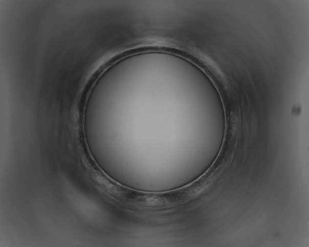 X0000089751318200707121333