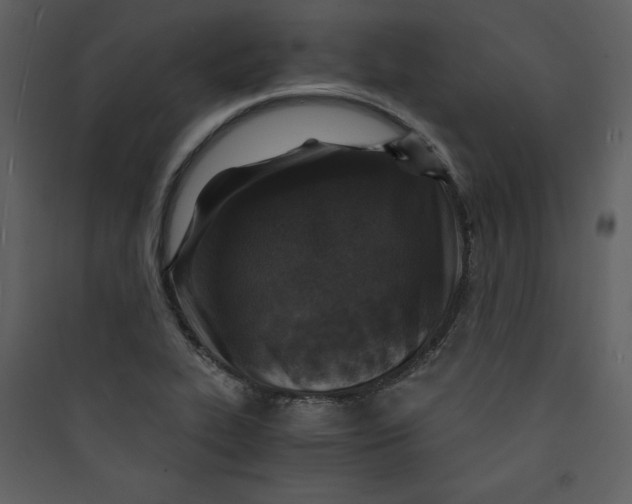 X0000089751319200707121333