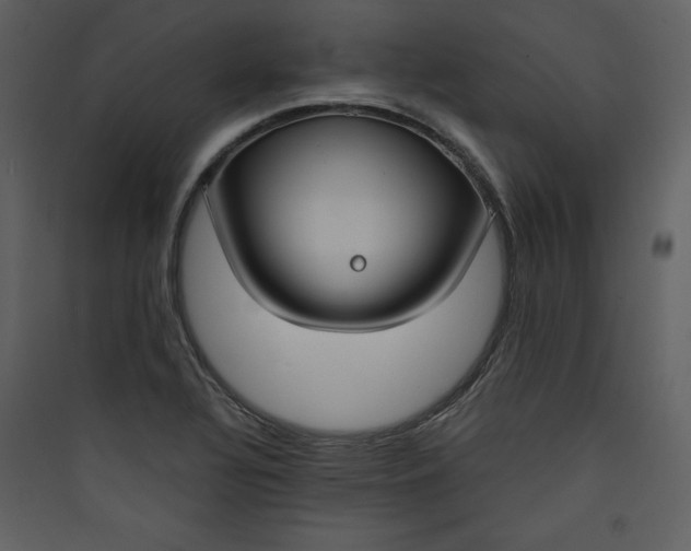 X0000089751320200707121333