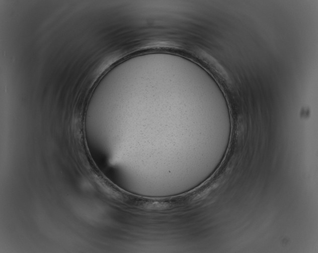 X0000089751321200707121333