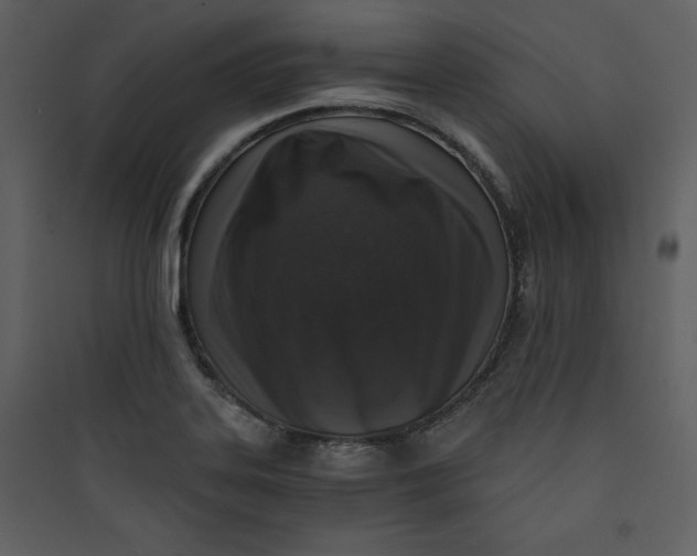 X0000089751323200707121333